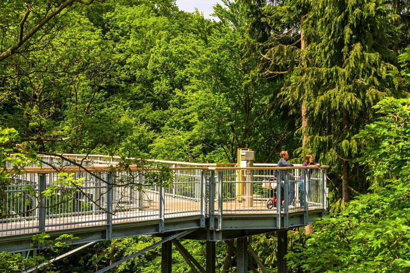 Regiohotel Germania Am Kurpark Bad Harzburg Exteriér fotografie